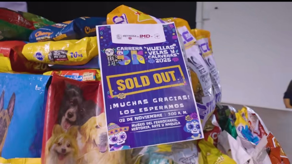 Sold Out en la carrera  “Huellas, Velas y Calaveras 2025”: sigue la colecta de croquetas