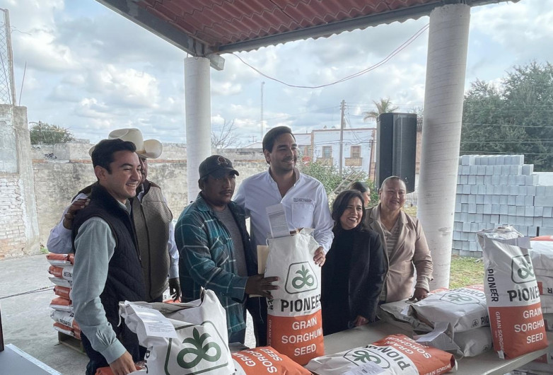 Invierte Ayuntamiento 10 mdp en sorgo para campesinos