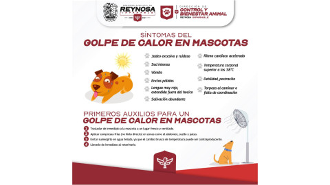 Exhorta Alcalde de Reynosa a cuidar salud de las mascotas