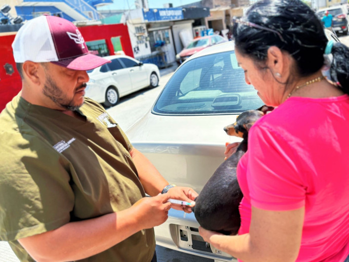 Atiende Gobierno de Reynosa a mascotas de zonas vulnerables