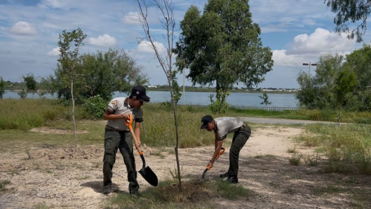 Inician acciones de limpieza y reforestación en la Laguna