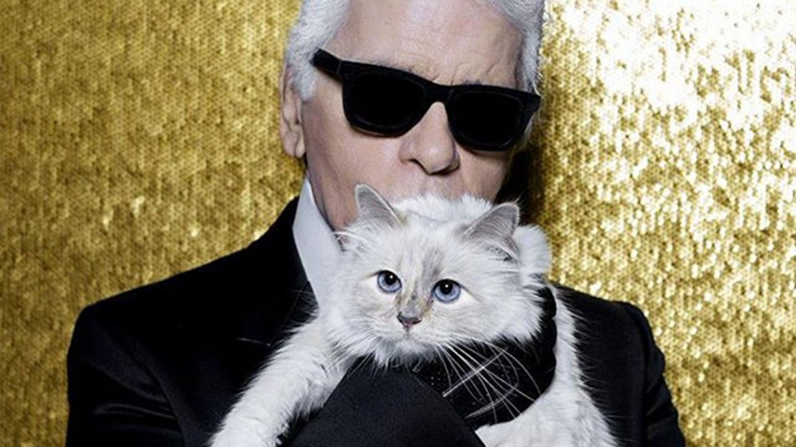 Choupette, la gata que heredará la fortuna de Karl Lagerfeld 