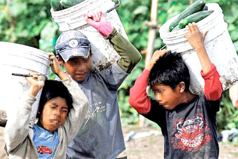 Trabajan y estudian 50 niños en Altamira