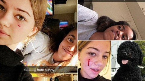 Muerde la mascota de los Obama a una joven en la Casa Blanca