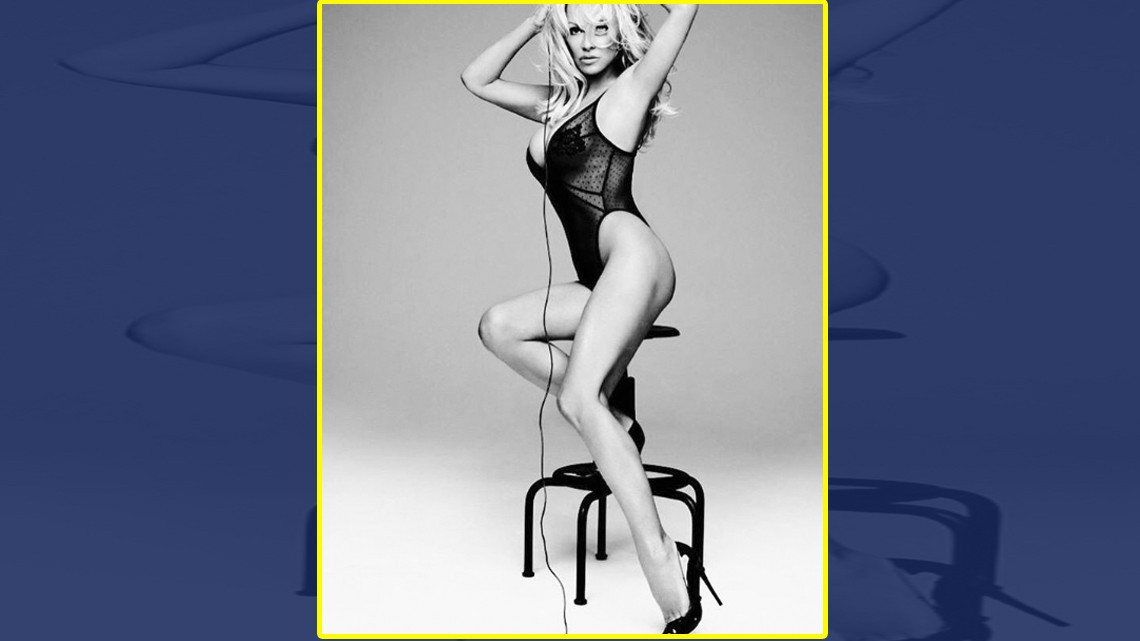 Pamela Anderson se luce con fotos en lencería