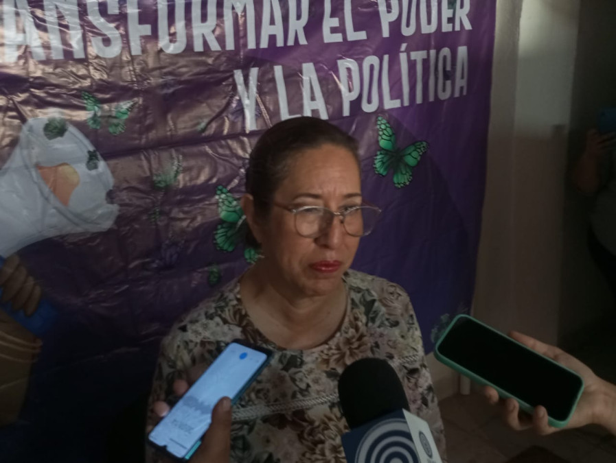 Sumaremos más de 300 mil simpatizantes a Morena: Lupita Gómez