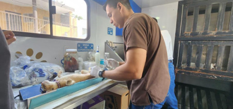 Proteger animales y reforestar Reynosa, objetivo de programa ECOPATAS 