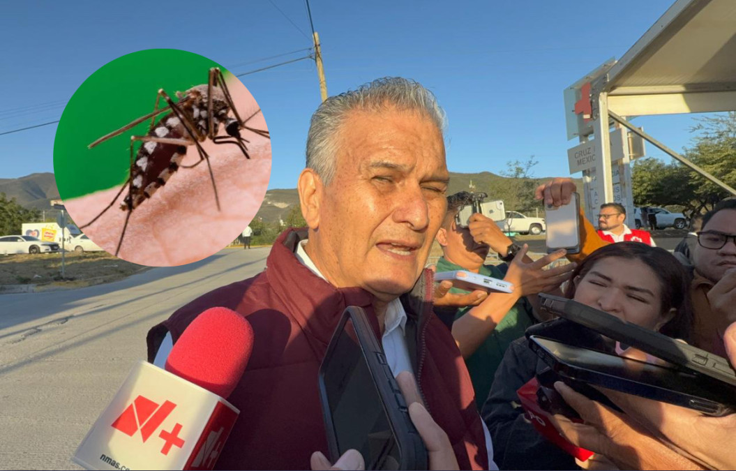 Baja incidencia del dengue en un 40 por ciento: Salud