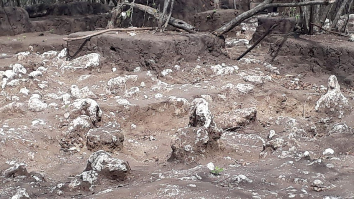 En Altamira siguen surgiendo a la luz más hallazgos arqueológicos