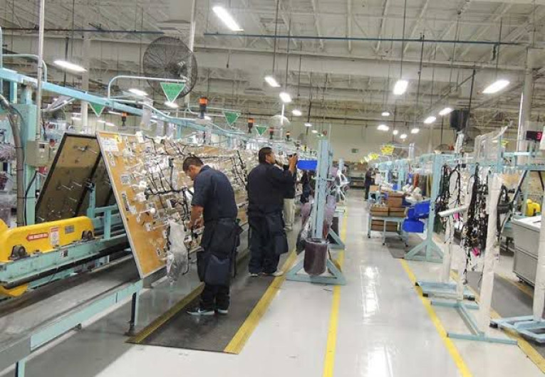 Cerca de 240 mil trabajadores del IMSS recibirán pago de utilidades este mes