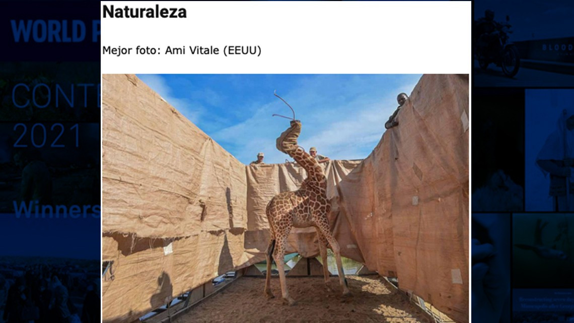 Estas son las imágenes ganadoras del World Press Photo 2021