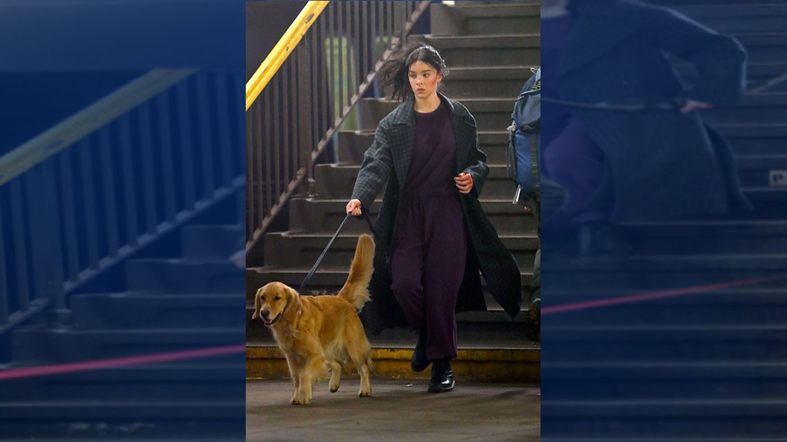 ¡Confirmado! Hailee Steinfeld aparecerá como Kate Bishop en “Hawkeye” 