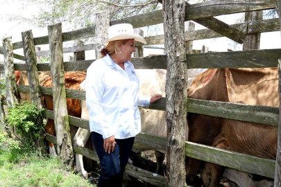 Gobierno de Alma Laura Amparán en apoyo del sector rural