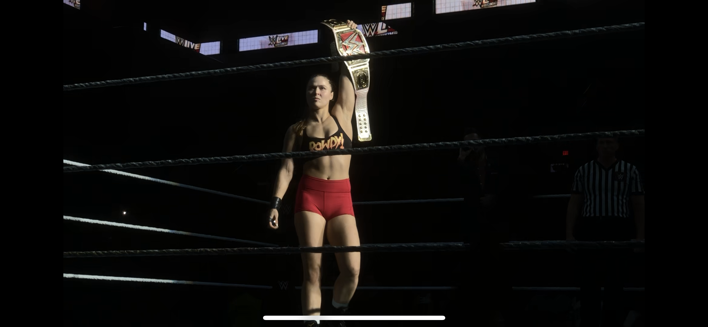 WWE LIVE llega con éxito al RGV