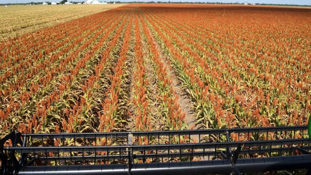 Productores reconocen trabajos del Gobernador