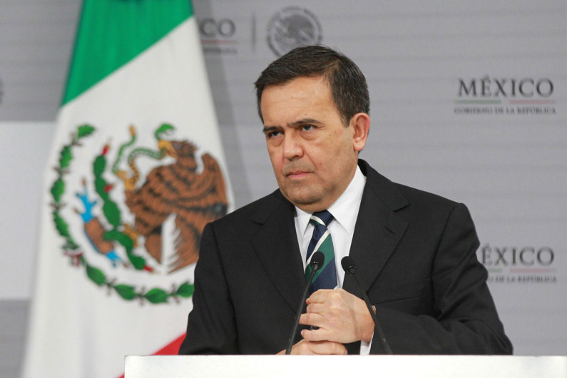 Idelfonsa Guajardo hará una visita de trabajo en Detroit 