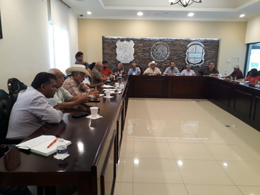 Sector agrícola y ganadero expone afectaciones por sequía