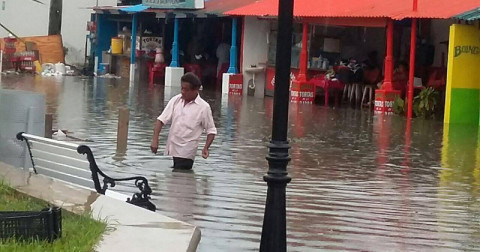 Sedesol apoyará con solo mil pesos a damnificados en el sur 