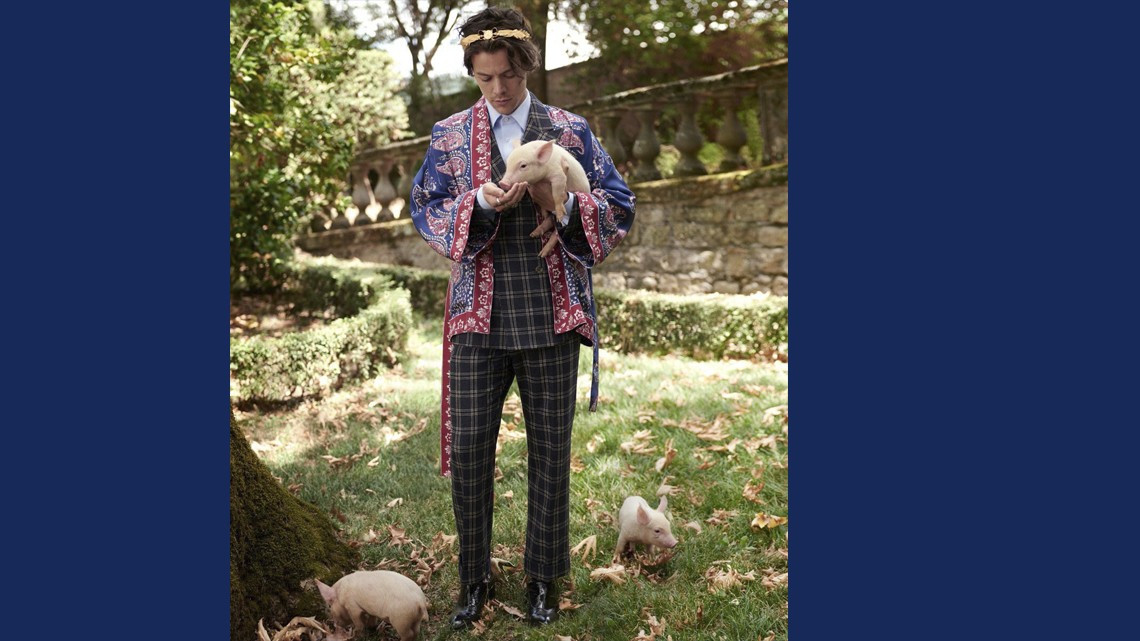 Harry Styles posa con animalitos para Gucci