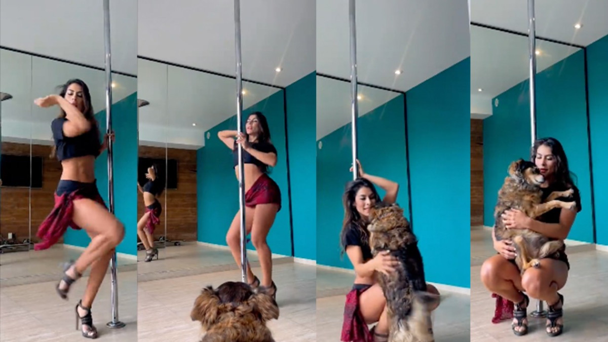 María León baila sensual y es interrumpida por su perrita