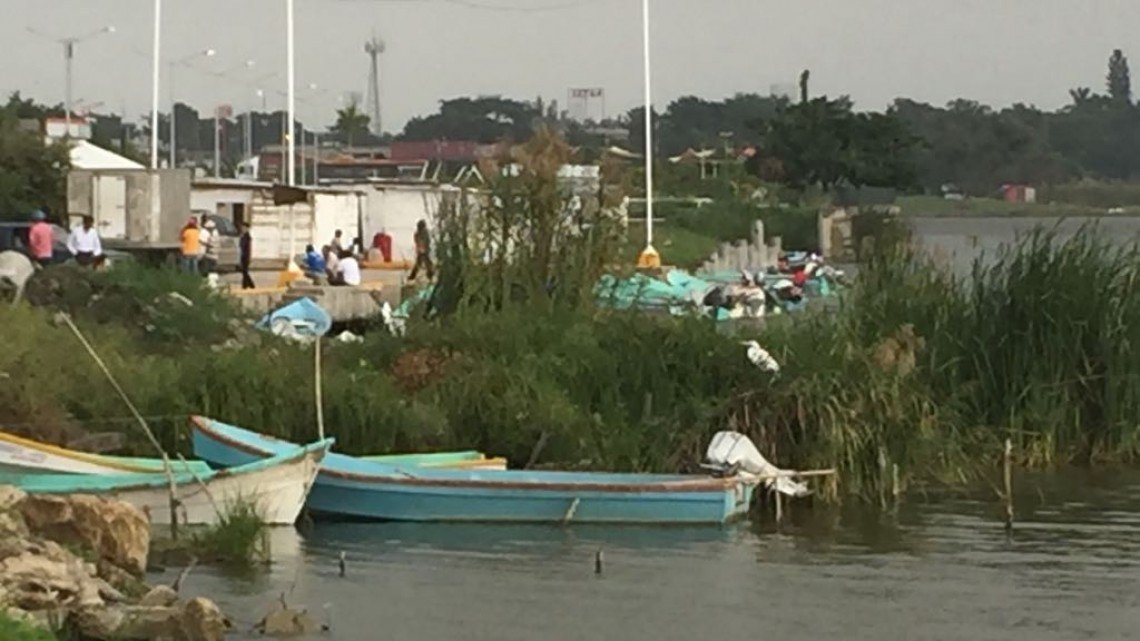 Tomarán medidas preventivas para evitar ataques de cocodrilos en Semana Santa