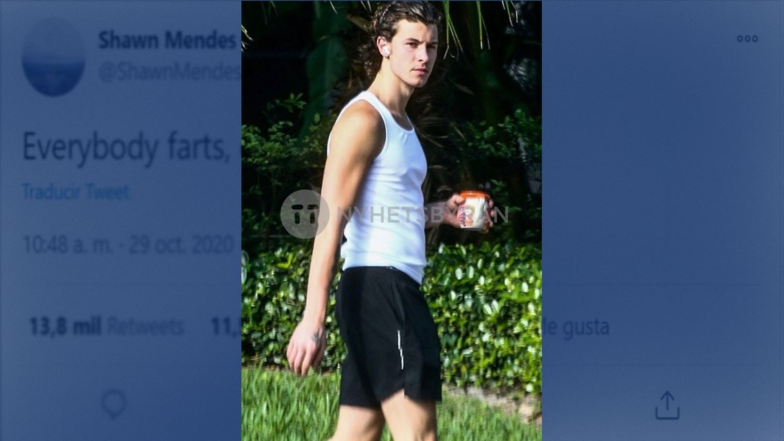 Camila Cabello entra a Twitter de Shawn Mendes y le juega broma 