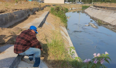 Extiende Gobierno de Reynosa labores de limpieza en colonias 