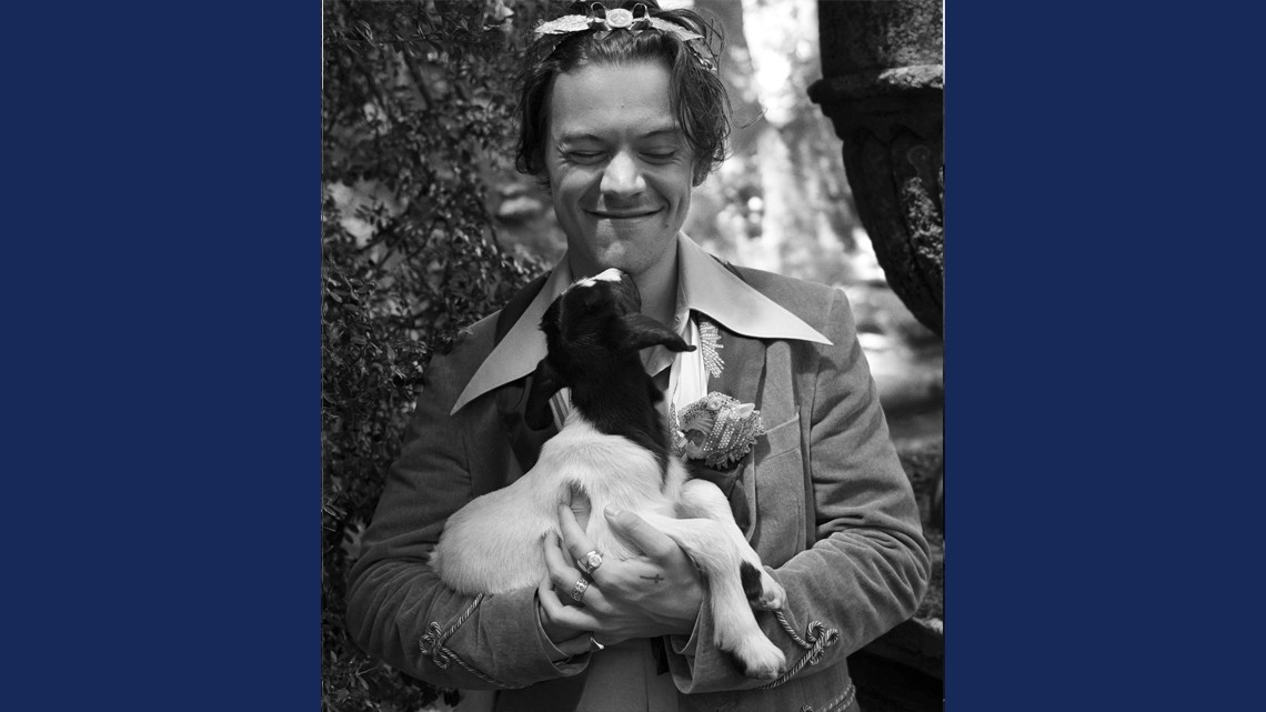 Harry Styles posa con animalitos para Gucci