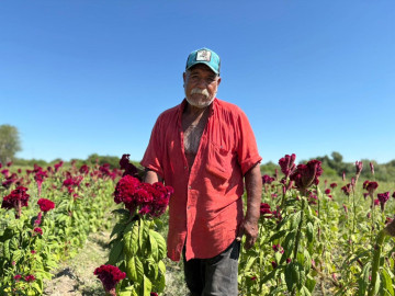 Don Martín: guardián del cempasúchil en Nuevo Laredo