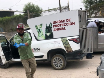 Bienestar Animal Reynosa rescata perro husky