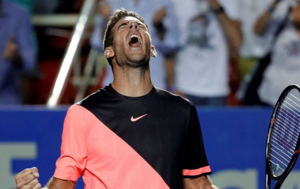 Del Potro vence a Thiem y avanza a semifinal del Abierto