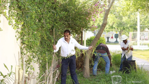 Levantan ramas que obstruían el paso