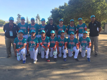 Va Treviño Kelly contra Puerto Rico en Serie Latinoamericana