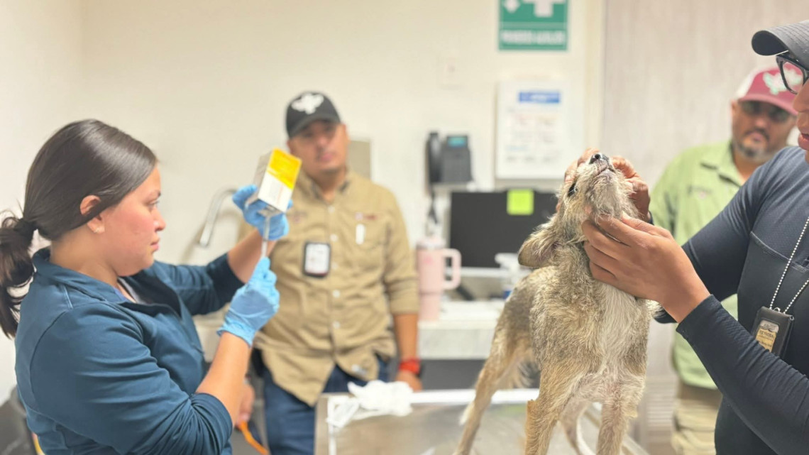 Rescatan a perrito atrapado en el Puente de La Paz