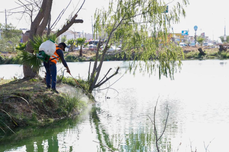 Fumigó el Gobierno de Reynosa calichera de Balcones de Alcalá 