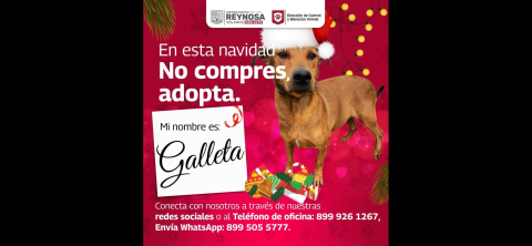 Fomenta Alcalde Carlos Peña Ortiz adopción de mascotas en Reynosa
