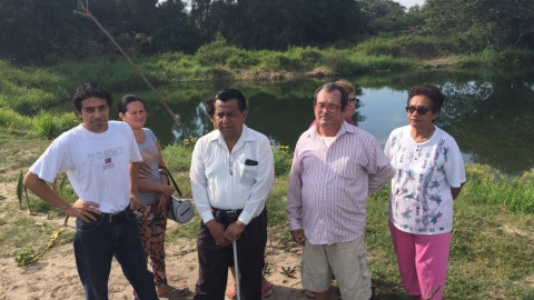 En Miramapolis temen ataque de cocodrilo