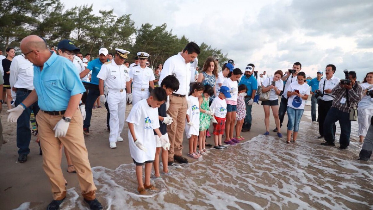 Liberan más de mil crías de tortuga lora en Tamaulipas
