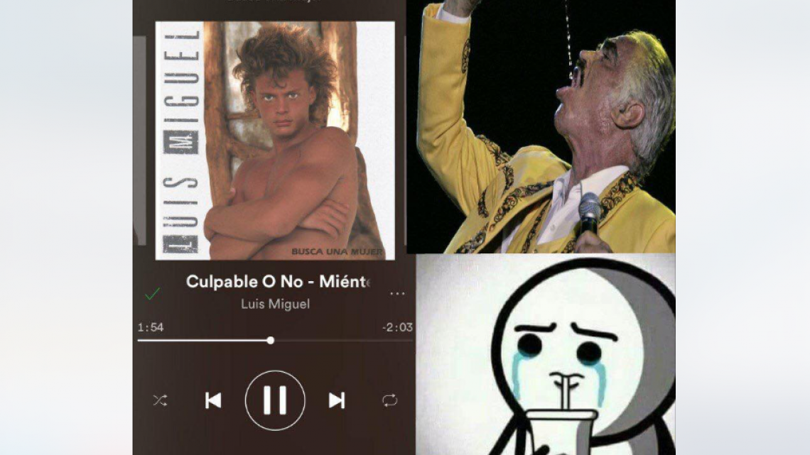 Los memes del capitulo 4 de Luis Miguel: La Serie