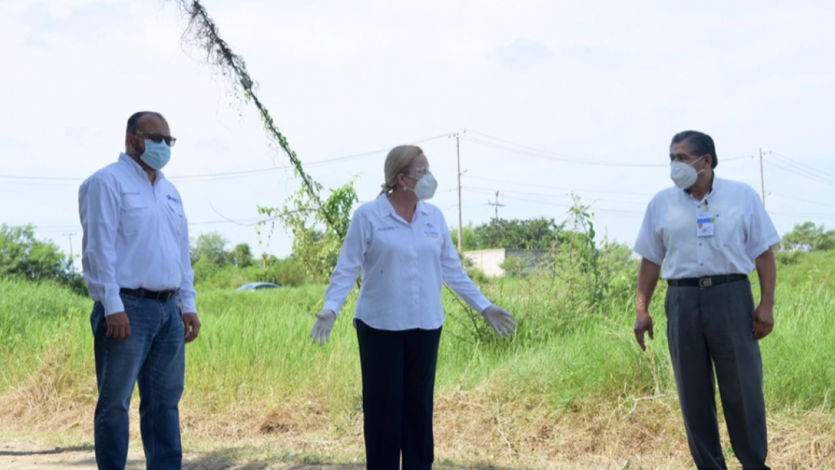 Intensifica Altamira acciones contra el dengue
