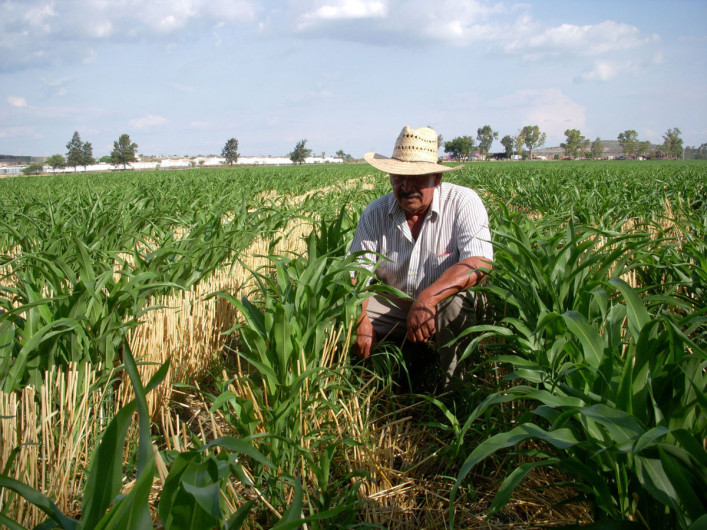 El campo jamás será 'ficha de cambio' en negociaciones comerciales: Sagarpa