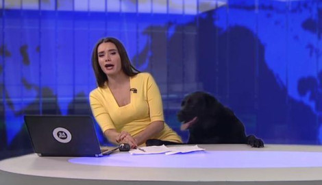La sorpresiva interrupción a un programa de televisión