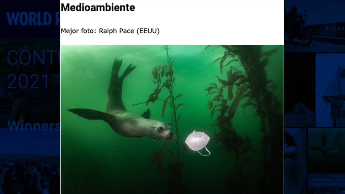 Estas son las imágenes ganadoras del World Press Photo 2021