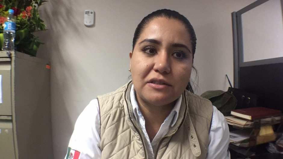 Con carnaval, Madero busca acercar texanos a Miramar