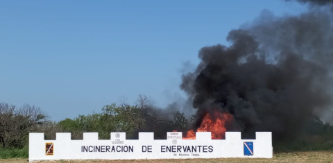 Incinera SEDENA y FGR enervantes en Reynosa 