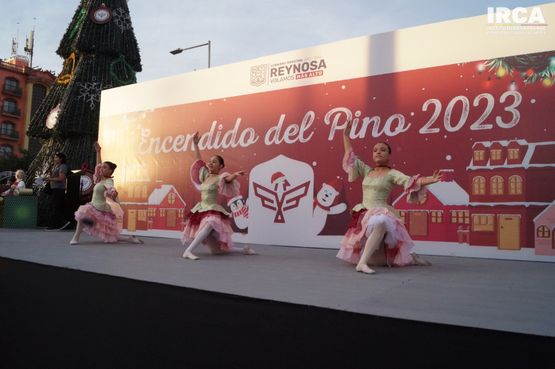 Participan agrupaciones artísticas IRCA en encendido del pino