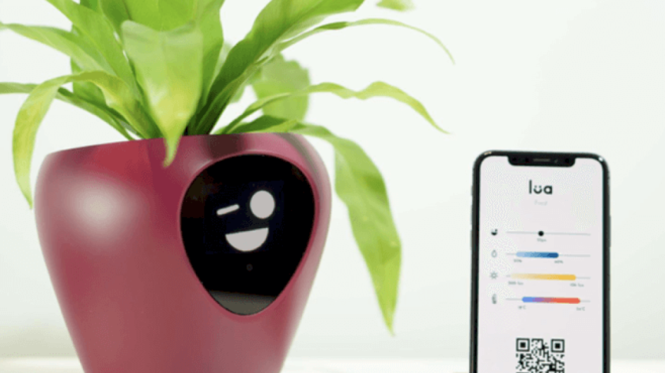 Conoce LUA, la maceta inteligente que te permite hablar con tus plantas