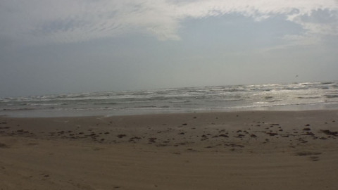 PC asignará 50 elementos a la playa Bagdad 