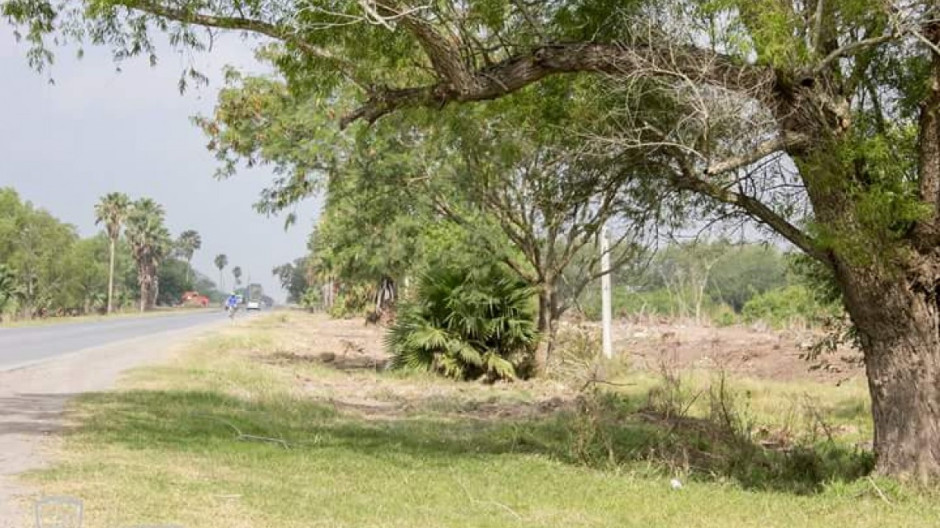 Limpian maleza en el poblado Anáhuac