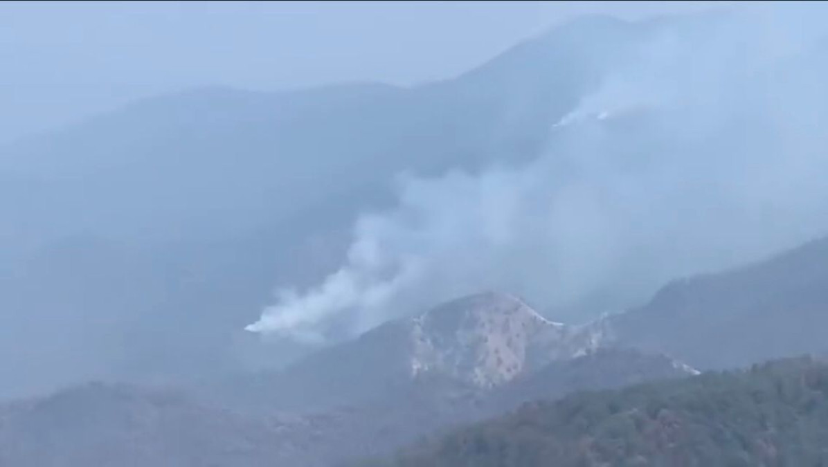 Proyectan reforestación del Cañón del Novillo